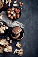 Variety of raw mushrooms on dark background. Vegan food cocnept. Top view, flat lay, copy space