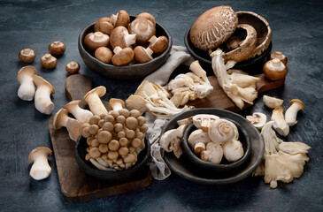Variety of raw mushrooms on dark background. Vegan food cocnept. - obrazy, fototapety, plakaty