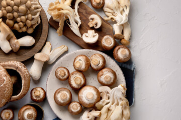 Variety of raw mushrooms on light gray background.