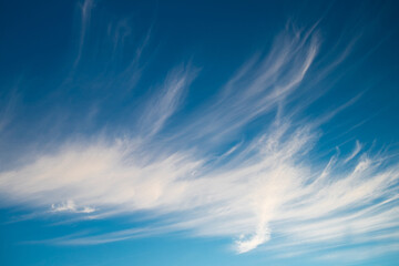 Fototapeta na wymiar White Cirrostratus Clouds On Blue Sky.