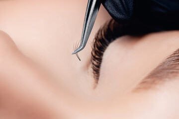 Obraz premium Master tweezers black fake long lashes 3d beautiful female eyes. Eyelash extension procedure