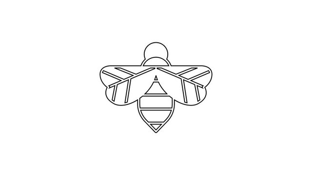 Black line Bee icon isolated on white background. Sweet natural food. Honeybee or apis with wings symbol. Flying insect. 4K Video motion graphic animation