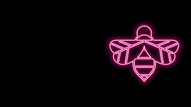 Glowing neon line Bee icon isolated on black background. Sweet natural food. Honeybee or apis with wings symbol. Flying insect. 4K Video motion graphic animation
