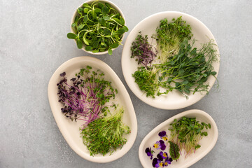 Different types of useful microgreens on plates, top view