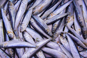 Fresh Baltic herring fish close-up. Macro Photo - obrazy, fototapety, plakaty
