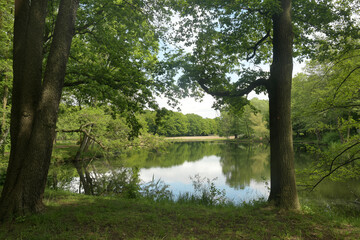 volkspark jungfernheide