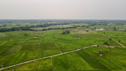 Fototapeta na wymiar drone photo rice field with mountain landscape.