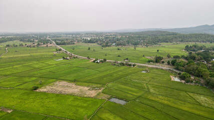 Obraz premium drone photo rice field with mountain landscape.