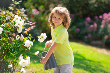 Child watering a plant with watering can.