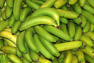 PLÁTANOS DE CANARIAS