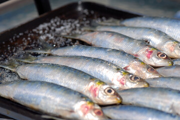 SARDINAS A LA PLANCHA