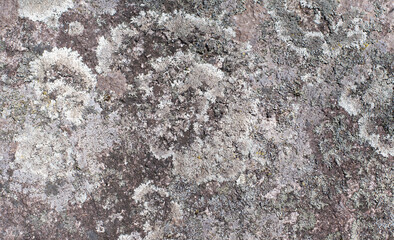 The texture of the natural gray-black stone is uniquely created.