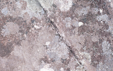 The texture of the natural gray-black stone is uniquely created.
