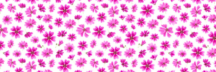 Banner made with pink flowers on a white background, as a backdrop or texture. Spring, summer wallpaper for your design. Top view Flat lay