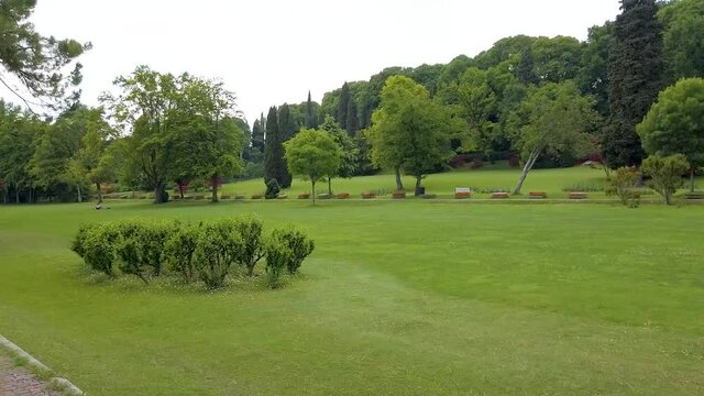 jardim