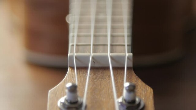 Ukulele neck fingerboard and strings close-up shot.