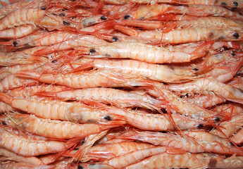 GAMBAS BLANCAS DE HUELVA. CAMARONES