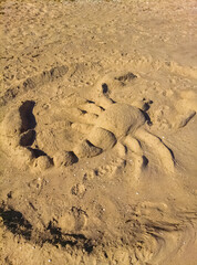 footprint in the sand
