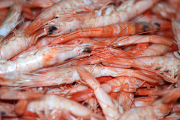 GAMBAS BLANCAS DE HUELVA. CAMARONES
