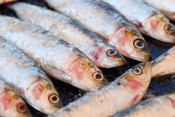 SARDINAS A LA PLANCHA