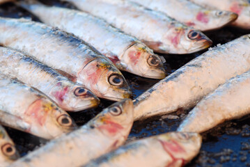 SARDINAS A LA PLANCHA