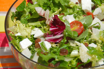 ENSALADA DE HIERBAS Y QUESO FRESCO