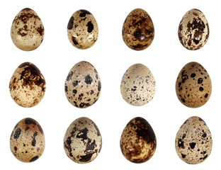 Quail eggs bird animal food isolated set on white background macro photo