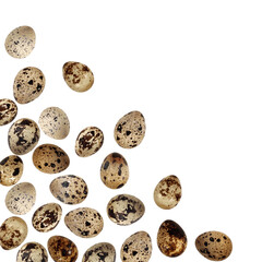 Quail eggs bird animal food isolated frame on white background macro photo