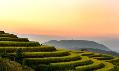 World Heritage Botanic Gardens Rice Terrace..The Cultural Landscape of Pa Pong Peang rice terrace field of Thailand.