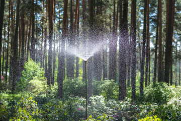 sprinkler system watering in forest garden