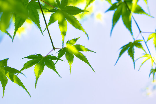 1 325 Best 青空背景images Stock Photos Vectors Adobe Stock