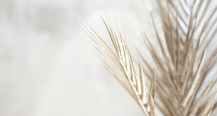 Delicate golden shimmering fern leaves on a light, blurred concrete background, branch on the side