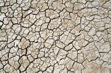 Pattern of cracks in dried clay in an estuary