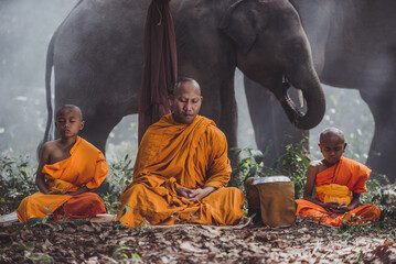 Thai monks walking in the jungle with elephants