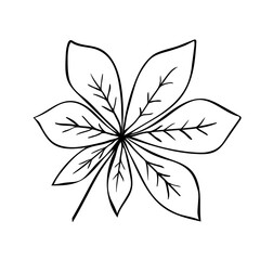 Hand drawn doodle sketch of horse chestnut leaf