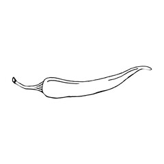 Chili pepper on a white background, hand-drawn.Vector pepper can be used in culinary designs,labels, menus,textiles.