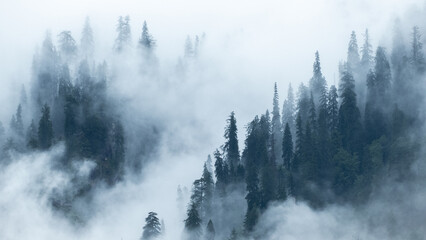 View of the mountains in Manali Himachal Pradesh in India covered by dense fog