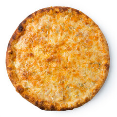 pizza on a white background