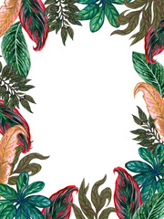 Fototapeta na wymiar Watercolor illustration Botanical tropical leaf tree houseplants frame invitation label border greetings