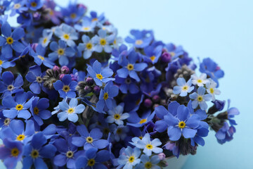 Beautiful forget-me-not flowers on light blue background, closeup