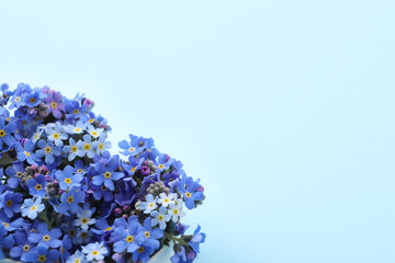 Beautiful forget-me-not flowers on light blue background. Space for text