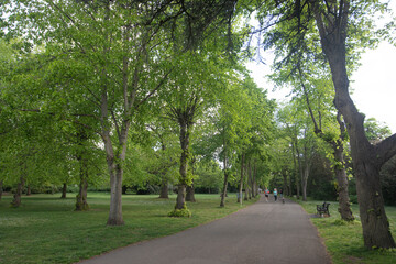Fototapeta na wymiar a sunny day at Chiswick House and Garden park, Lodon