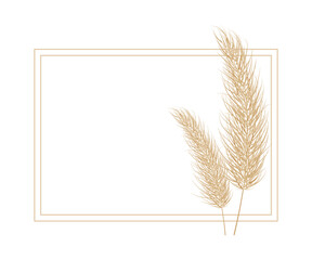 Pampas dry grass frame. Branch of pampas grass. Panicle, feather flower head. Vector - obrazy, fototapety, plakaty
