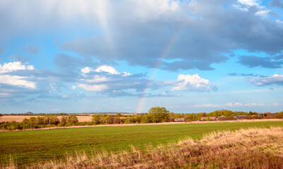 Fototapeta na wymiar Rainbow against the blue sky with clouds after a spring rain. The meteorological phenomenon caused by reflection, refraction and dispersion of light in water droplets.