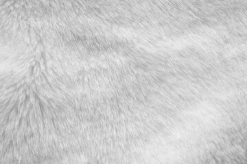White fur fabric texture background
