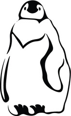 penguin on white