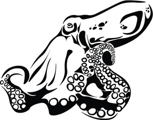 Octopus Vector 