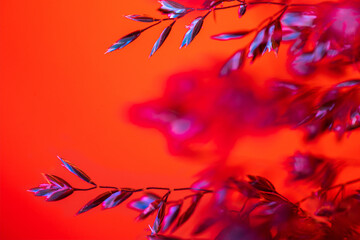 small leaves on a red background