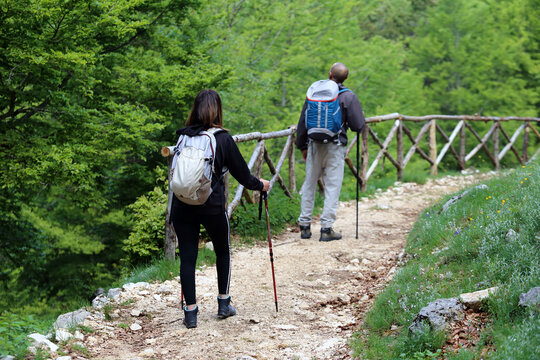 Trekking Excursion In The National Park Of Abruzzo, Lazio And Molise