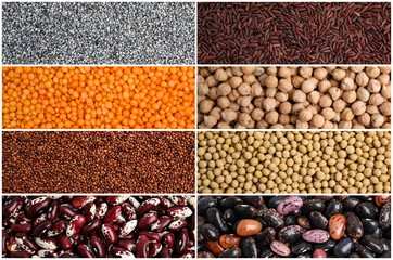 Collage with photos of different legumes and seeds. Vegan diet